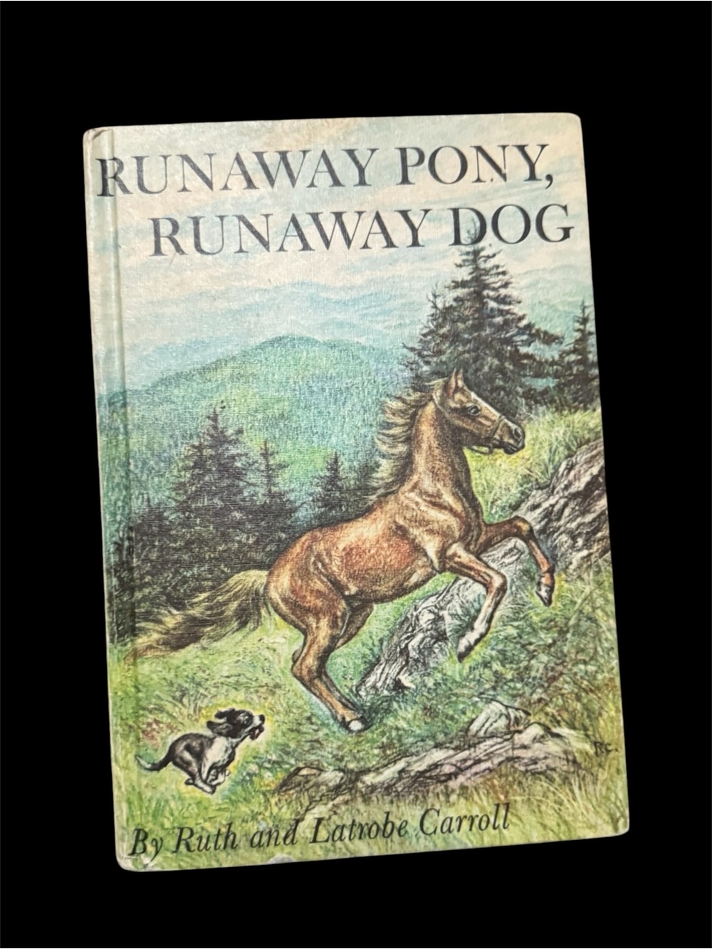 Runaway Pony, Runaway Dog - Illustrated Hardcover (Green/Brown Cover)